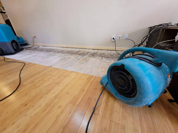 Professional Water Removal technician working in Hancock, MI